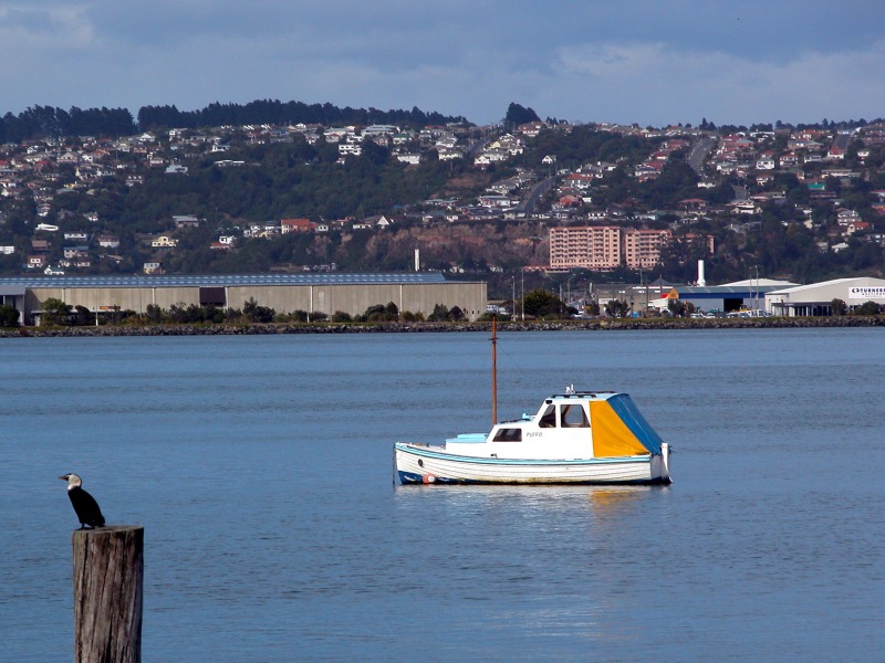 Dunedin New Zealand