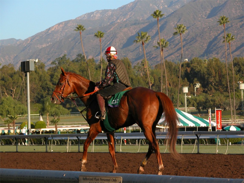 Santa Anita Race Track