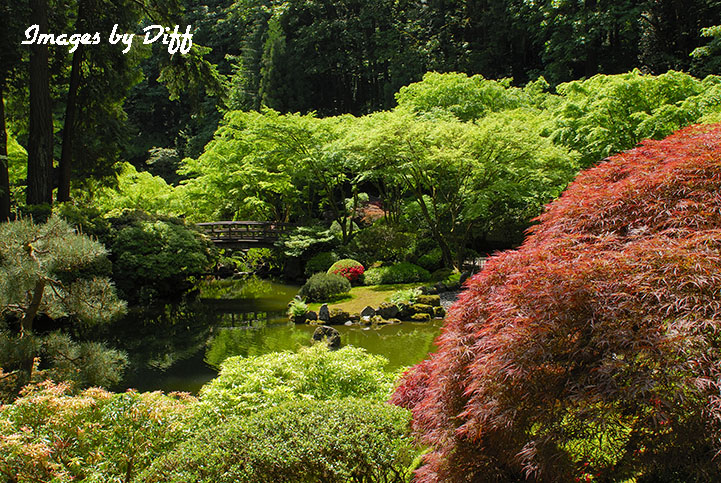 Japanese Gardens