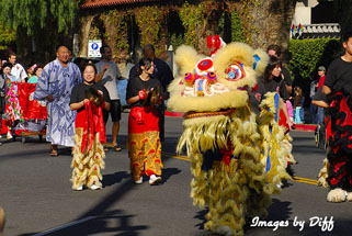 Lunar New Years Festival